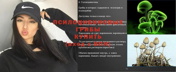 apvp Беслан