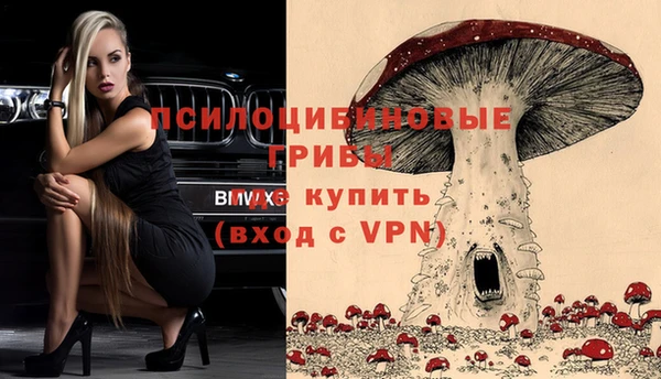 apvp Аркадак