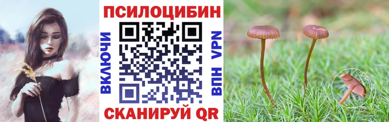 Псилоцибиновые грибы Cubensis  мориарти формула  Буинск 